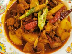 -巴依老爷新疆美食(清华东门店)