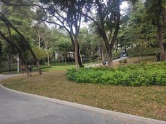 -炮台山公园