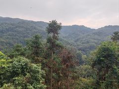 -广州市帽峰山景区