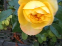 -肯德基(东直门来福士店)