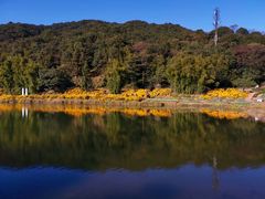 -广州市石门国家森林公园