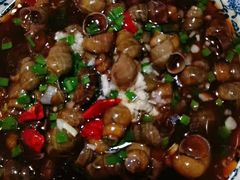 -呼吸森林·生态农庄农家乐私房菜