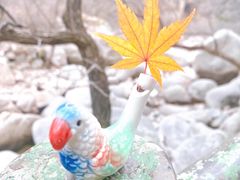 -崂山九水游览区