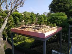 -东芭乐园