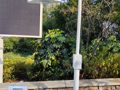 -临平公园(临平街道)
