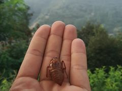 -伏羲大峡谷