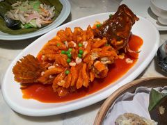 -新梅华餐厅(星悦汇店)