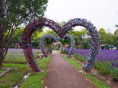 -广东花都香草世界旅游度假区