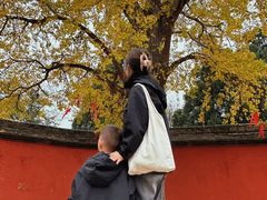 -金堂县云顶石城风景区