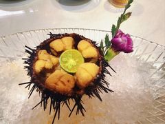 -日月昇渔家菜·海肠捞饭·大连海鲜(星海公园店)