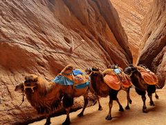 -天山神秘大峡谷