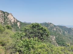 -大岭沟猕猴桃谷风景区