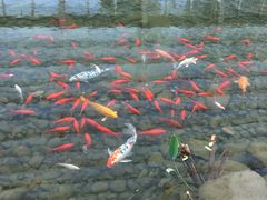-活水公园