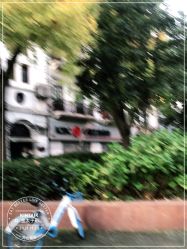 -金太子形象设计