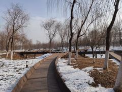 -五环公园