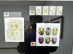 -国家植物园南园