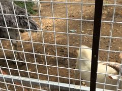 -厦门悦华酒店
