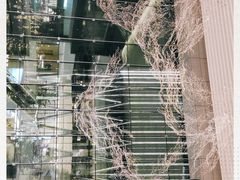 -% Arabica阿拉比卡咖啡(深圳湾万象城店)
