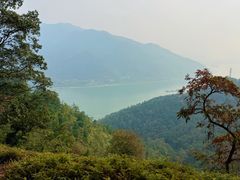 -羚羊峡古栈道森林公园
