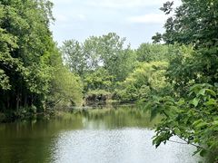 -溱湖国家湿地公园