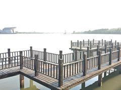 -高子水居
