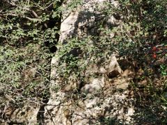 -鸡鸣山旅游风景区