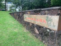 -王借岗森林公园