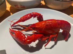 -蚝翅·海鲜粥·烧烤·宁夏滩羊季(玉米楼店)