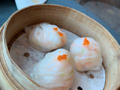 -同禧荟·港味海鲜火锅·粤菜(三亚湾店)