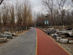 -大兴滨河森林公园