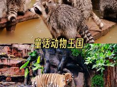-长鹿旅游休博园