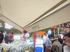 -东南花都花博园