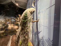 -陕西自然博物馆