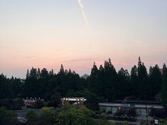 -THE PRESS(复旦大学店)