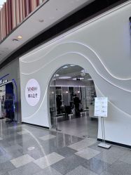 -YESIDO椰岛造型