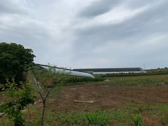 -金石滩蓝莓谷庄园