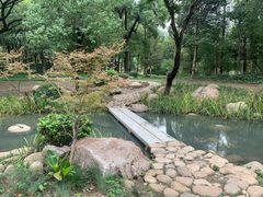 -新洲生态园