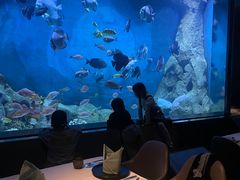 -渔火·特色餐厅(佘山世茂洲际酒店)