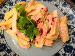 -九斤黄三黄鸡专卖店