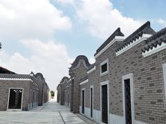 -王借岗森林公园