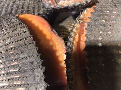 -鱼市酒店(威海水产批发市场店)