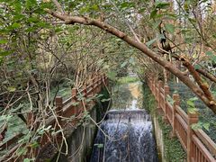 -桤木河湿地公园