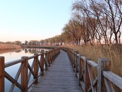 -野鸭湖国家湿地公园