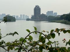 -眉山湿地公园(东坡区)