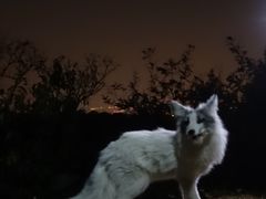 -鬼笑石后山停车场