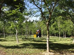 -上海海湾国家森林公园