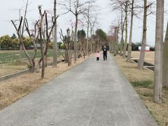-广东花都香草世界旅游度假区