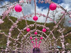 -参仙谷生态旅游度假区
