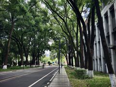 -四川大学(望江校区)