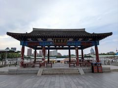-莲花池公园